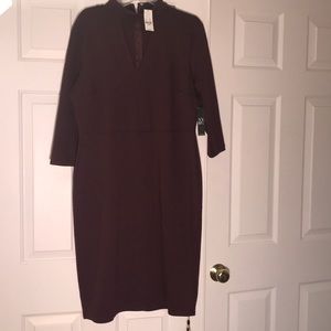 Never Worn NY & Co Burgundy Long Sleeve Dress
